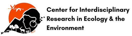 CIREE Logo