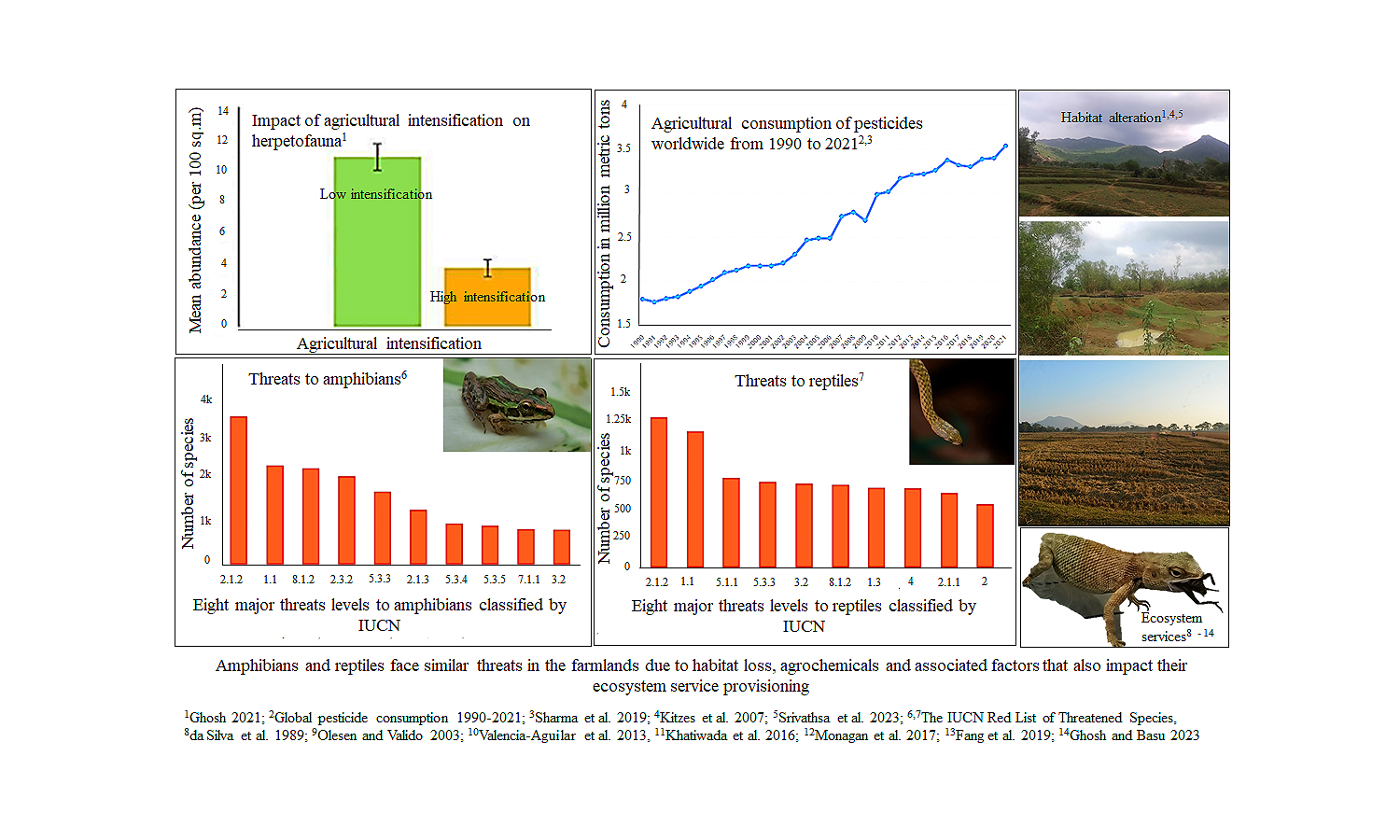 Giving a cold shoulder: why and how do we conserve farmland herpetofauna in India?